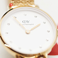 Часы Daniel Wellington Petite DW00100529 фото 7